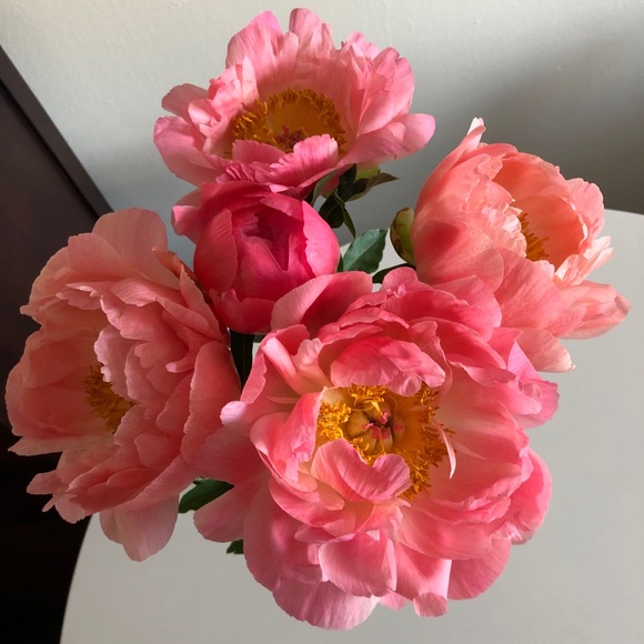 Meet your Posher, Melissa - Picture 1 of 1